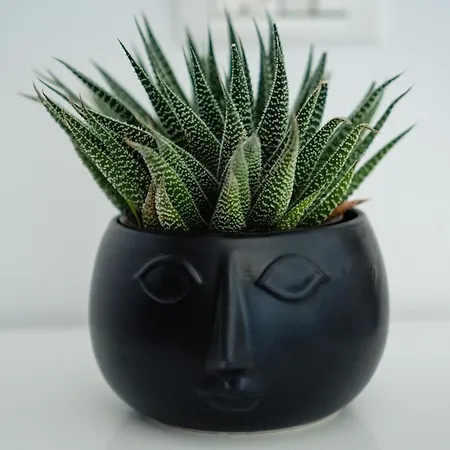 Wait'n Sea House 3* Tuzla