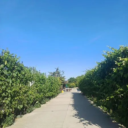 Affittacamere Wait'n Sea House 3*