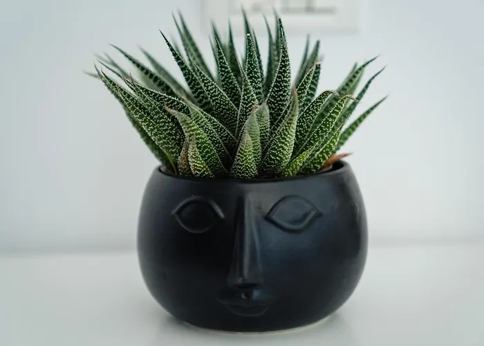 Wait'n Sea House 3* Tuzla